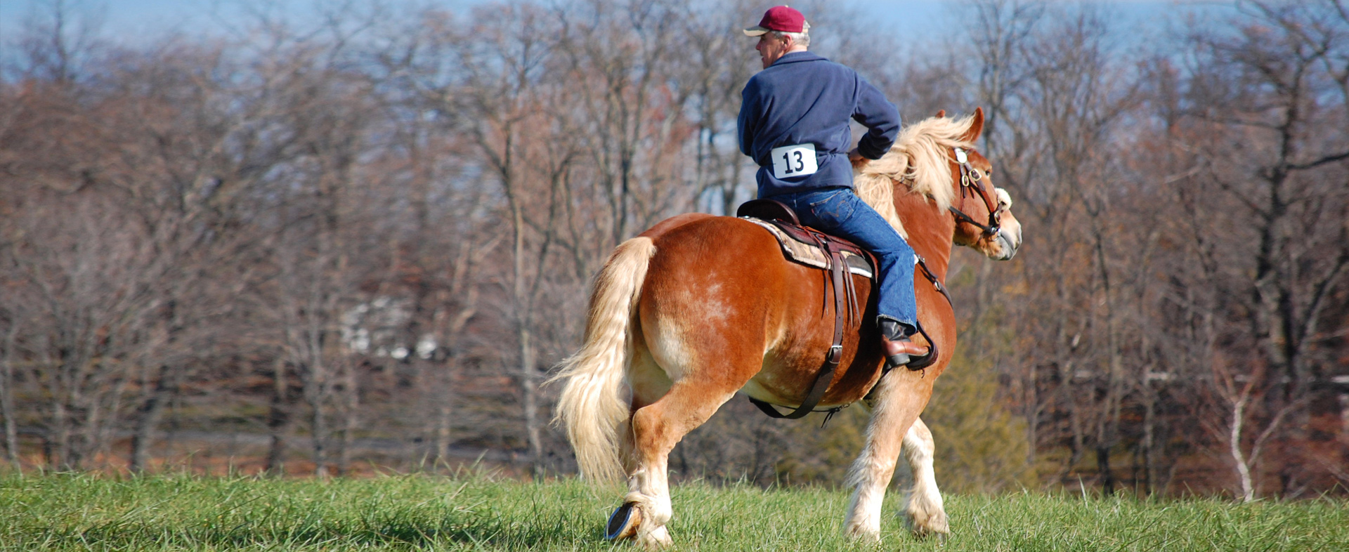 Pawling Chamber of Commerce Recreation